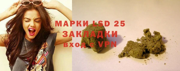сатива Бронницы