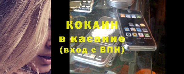 сатива Бронницы